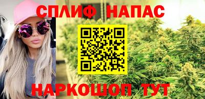 мдма Гатчина
