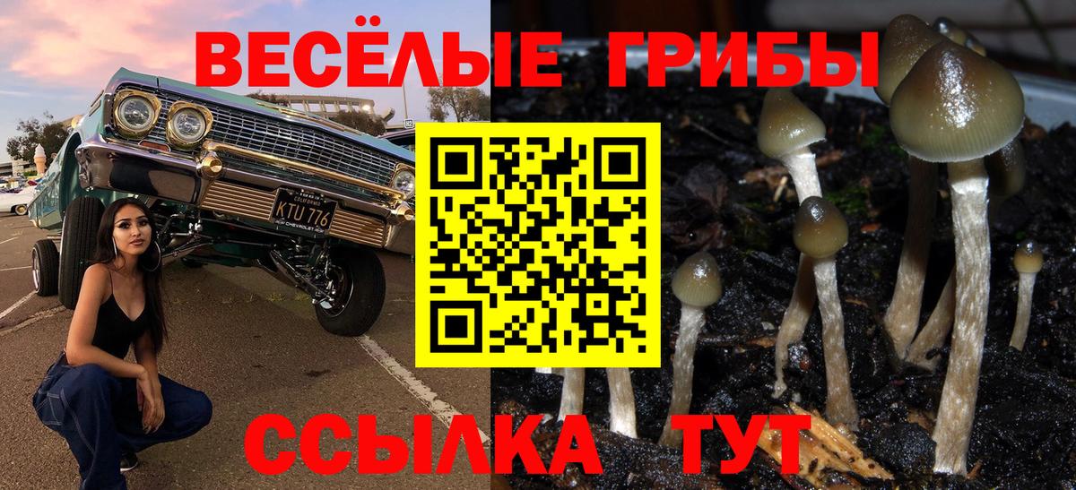 Псилоцибиновые грибы прущие грибы Минусинск