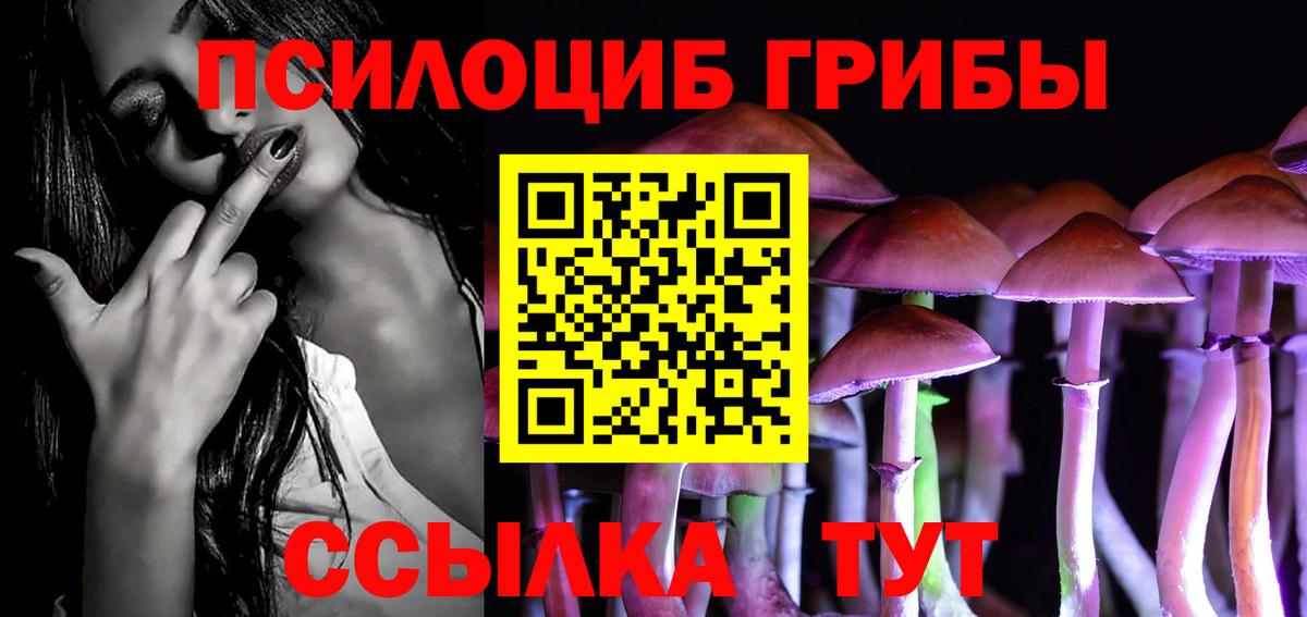 Галлюциногенные грибы GOLDEN TEACHER  Псилоцибиновые грибы Psilocybine cubensis  Минусинск  Вход с VPN 